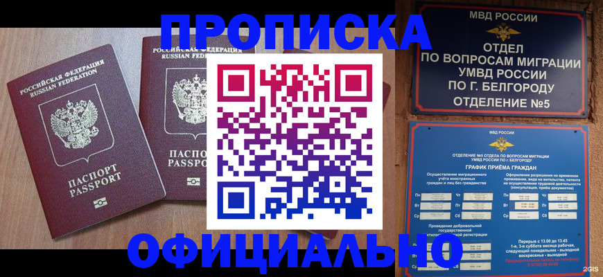 найти адрес прописки в Подольске